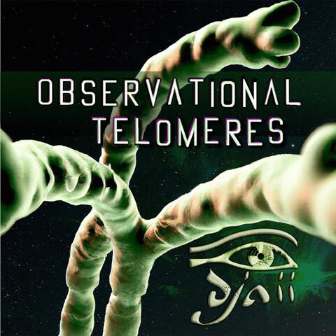 Observational Telomeres