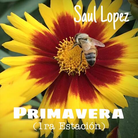 Primavera (1ra Estación)