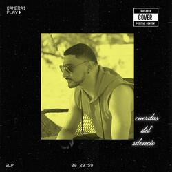 Volver a Verte (Cover)