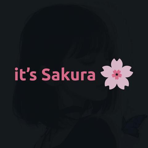 it's Sakura