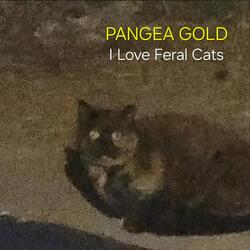 I Love Feral Cats