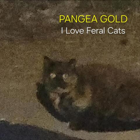I Love Feral Cats