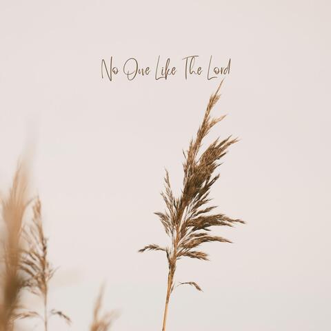 No One Like the Lord