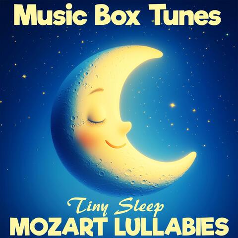 Mozart Lullabies: Tiny Sleep