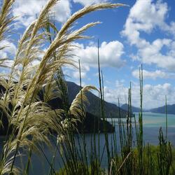 Fools and Dreamers (feat. Oresund)