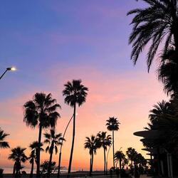 Lost in the Mediterranean