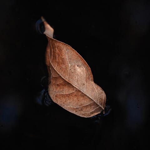 Sometimes It's Good to Fall