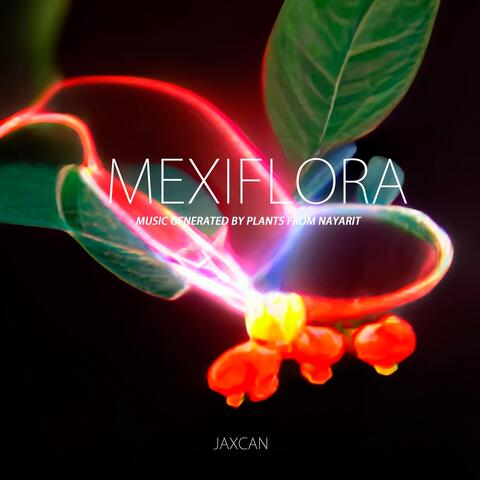 Mexiflora: Music Generated by Plants from Nayarit