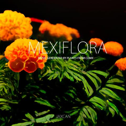 Mexiflora: Music Generated by Plants from CDMX