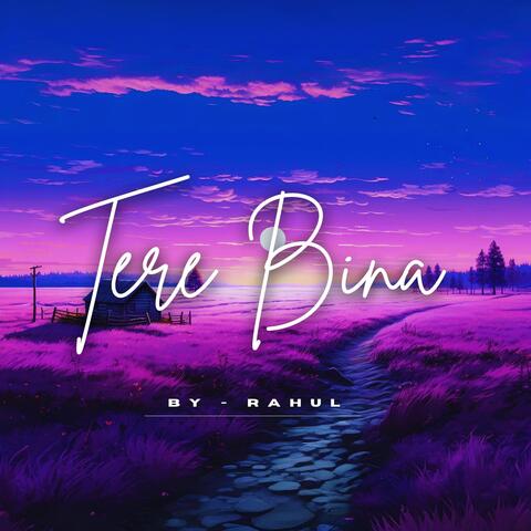 Tere Bina