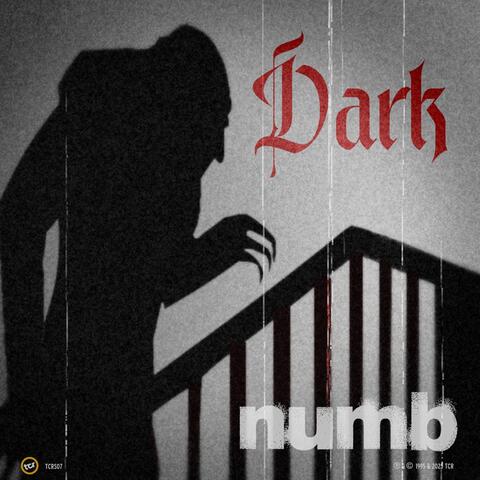 Dark