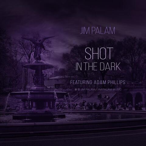 Shot In The Dark