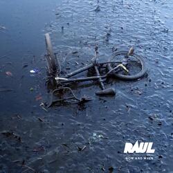 Crime of the Century