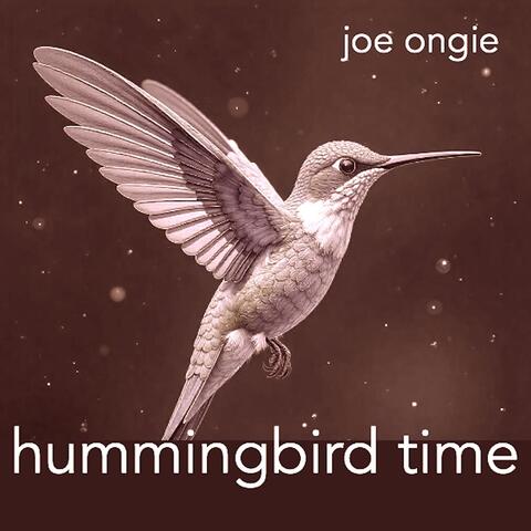 Hummingbird Time