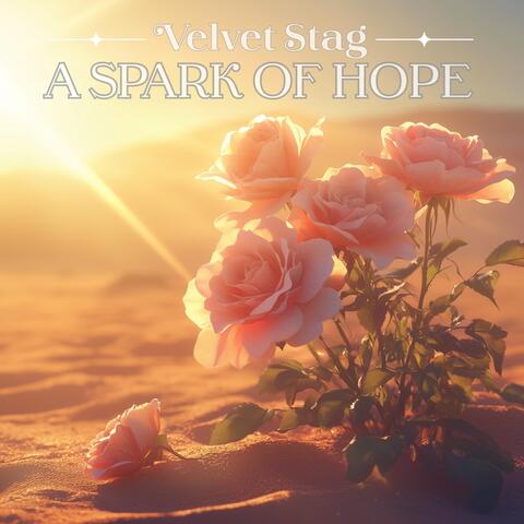 A Spark of Hope
