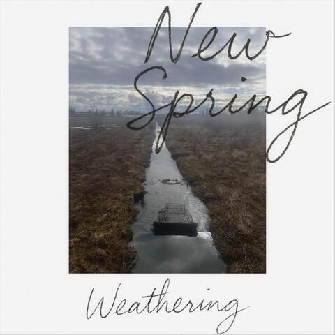 New Spring