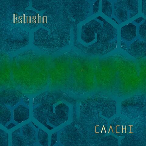 Caachi
