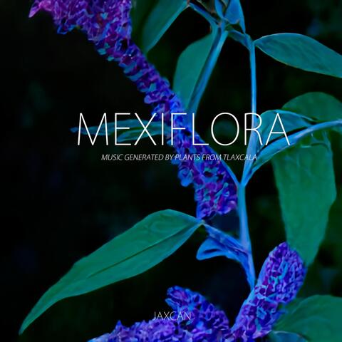 Mexiflora: Music Generated by Plants from Tlaxcala