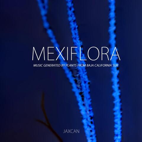 Mexiflora: Music Generated by Plants from Baja California Sur