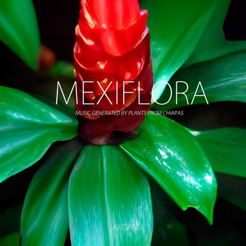 Mexiflora: Music Generated by Plants from Chiapas