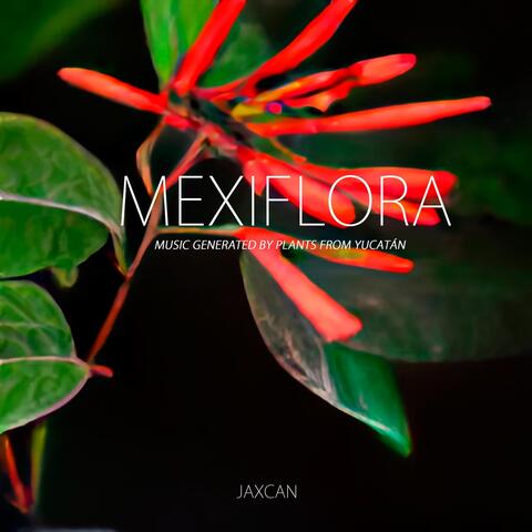 Mexiflora: Music Generated by Plants from Yucatán