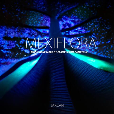 Mexiflora: Music Generated by Plants from Campeche