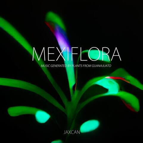 Mexiflora: Music Generated by Plants from Guanajuato