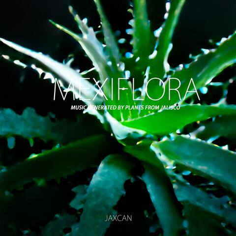 Mexiflora: Music Generated by Plants from Jalisco