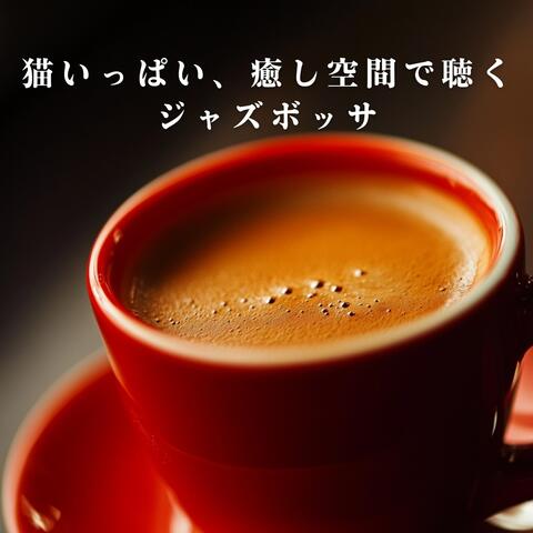 猫いっぱい、癒し空間で聴くジャズボッサ