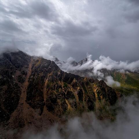 Wolves on the Mountains of Heaven