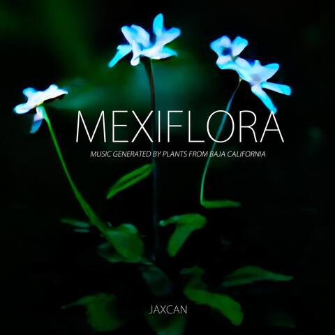 Mexiflora: Music Generated by Plants from Baja California