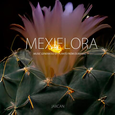 Mexiflora: Music Generated by Plants from Durango