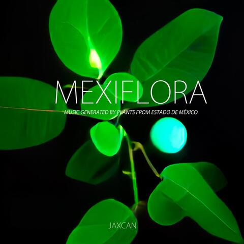 Mexiflora: Music Generated by Plants from Estado de México