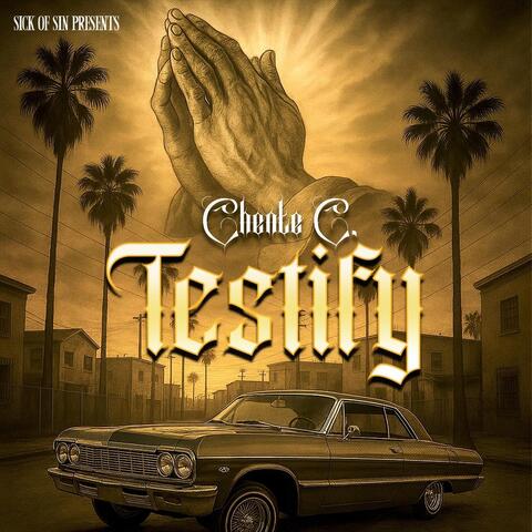 Testify