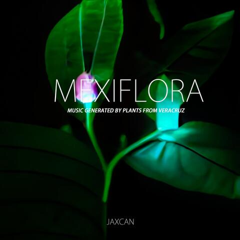 Mexiflora: Music Generated by Plants from Veracruz