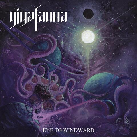 Eye to Windward
