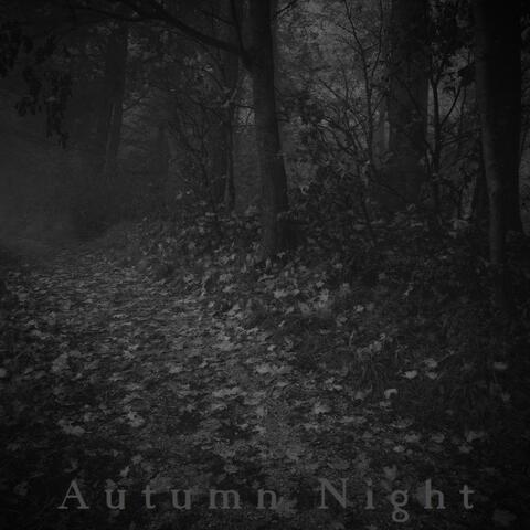 Autumn Night