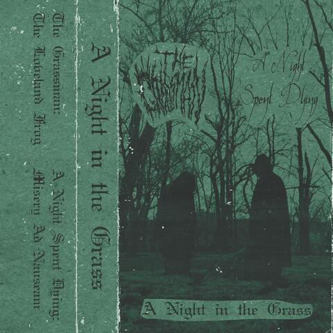 A Night in the Grass
