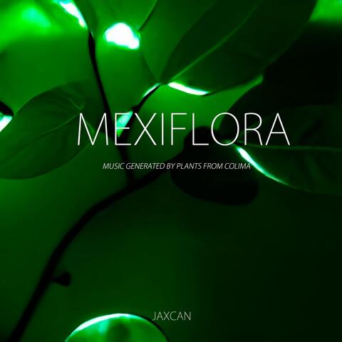 Mexiflora: Music Generated by Plants from Colima