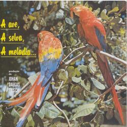 Aves das Florestas do Sul