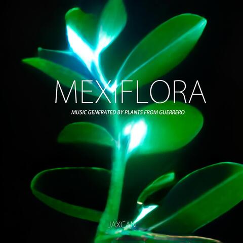 Mexiflora: Music Generated by Plants from Guerrero