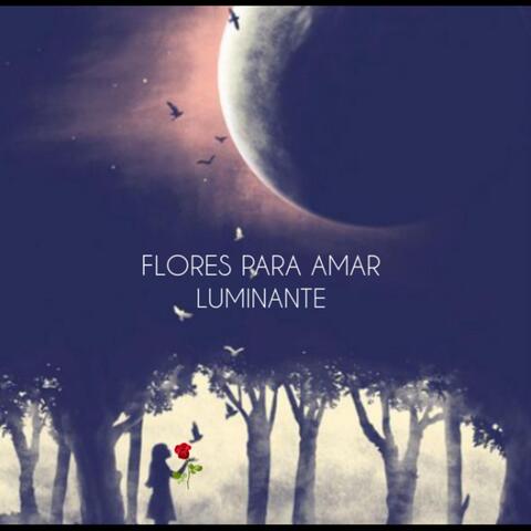 Flores Para Amar