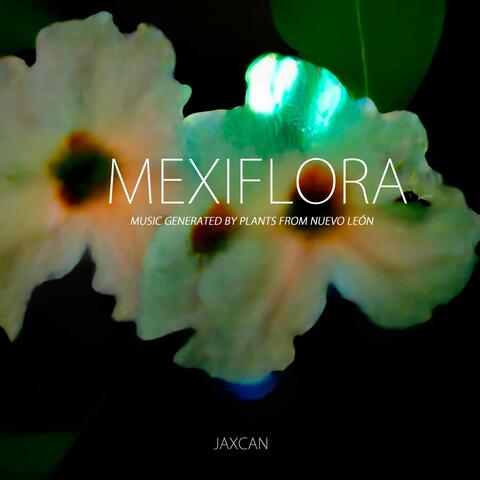 Mexiflora: Music Generated by Plants from Nuevo León