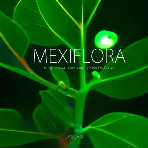 Mexiflora: Music Generated by Plants from Querétaro
