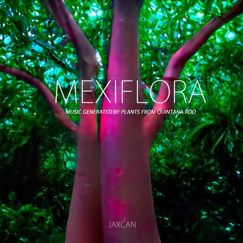 Mexiflora: Music Generated by Plants from Quintana Roo