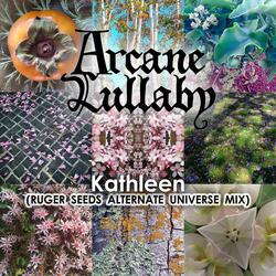 Kathleen Ruger Seeds Alternate Universe Mix