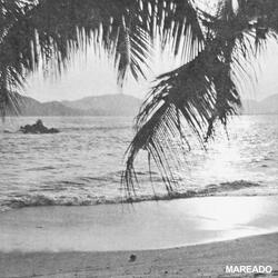 If I Were You (Scorpion Bowl Reprise)