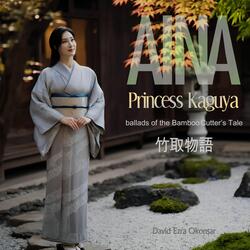 Princess Kaguya (The Bamboo Cutter's Tale): X. Tears in the Perseid Sky