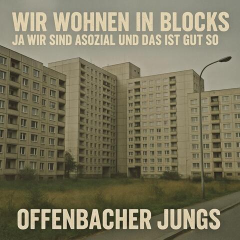 Wir Wohnen in Blocks, Ja Wir Sind Asozial Und Das Ist Gut So