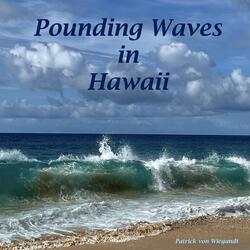 Pounding Waves in Hawaii